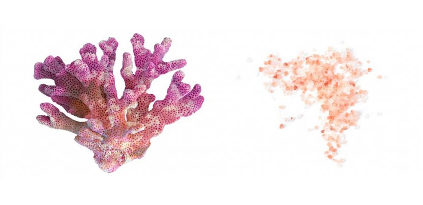 sunwarrior-active-line-sestavine-3-1