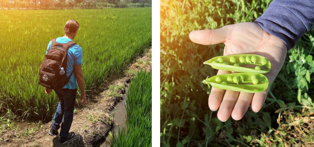 surovine-izvor-nadzor